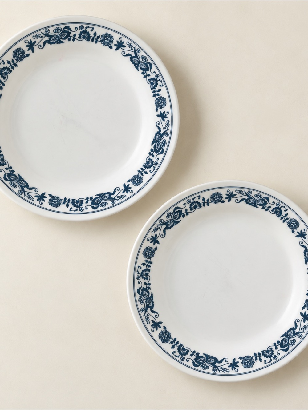 White Dinner Plates with Blue Floral Border - Set of 2